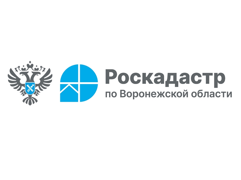 Информация Роскадастра по Воронежской области.