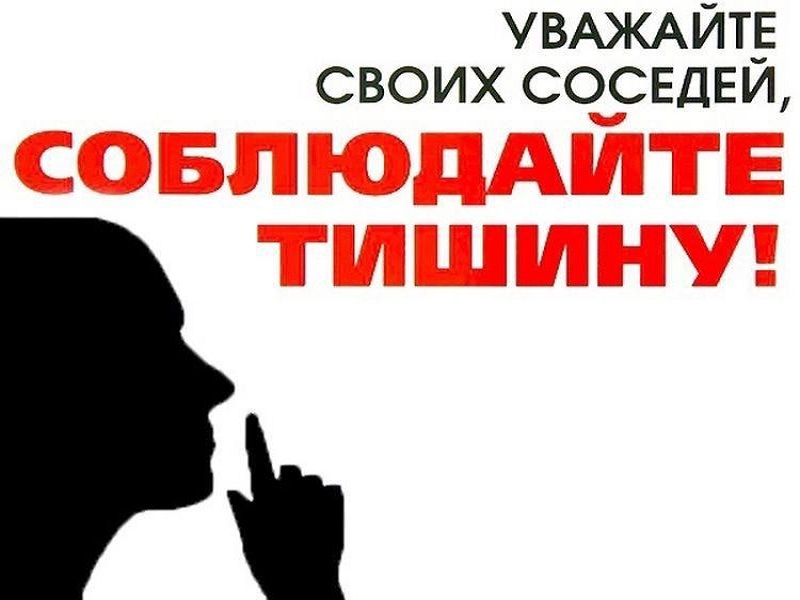 Изменения в законе об обеспечении тишины и покоя граждан на территории Воронежской области.